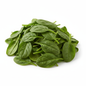 FRESH BABY SPINACH LEAVES