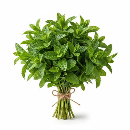 FRESH MINT LEAVES