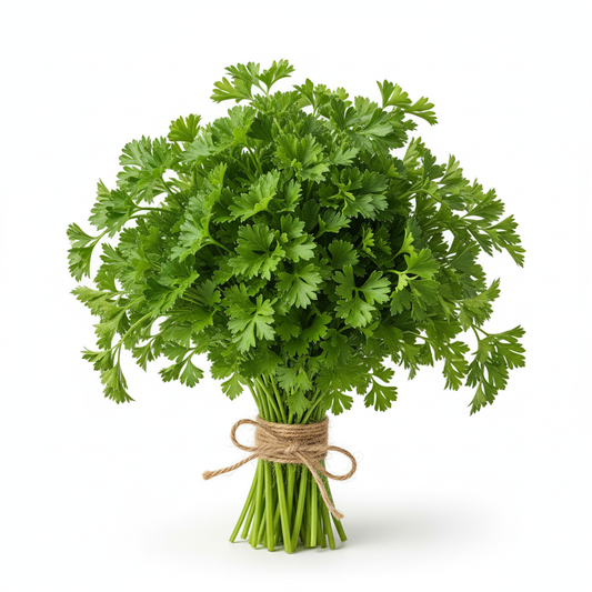 FRESH PARSELY (BAQDONES)