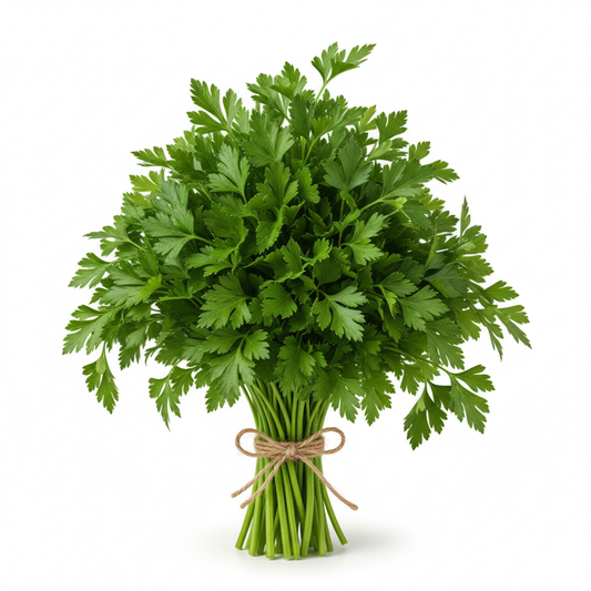 FRESH PARSLEY ENGLISH
