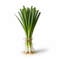FRESH SPRING ONION
