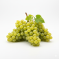 GRAPES WHITE