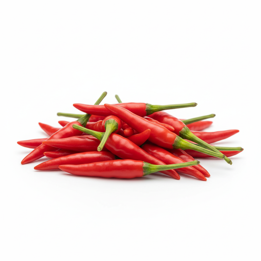 CAPSICUM RED