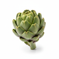 ARTICHOKE GREEN