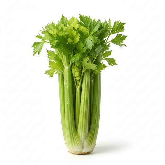 CELERY STICK LEAVES