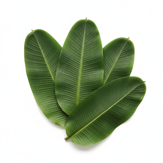 BANANA LEAVES