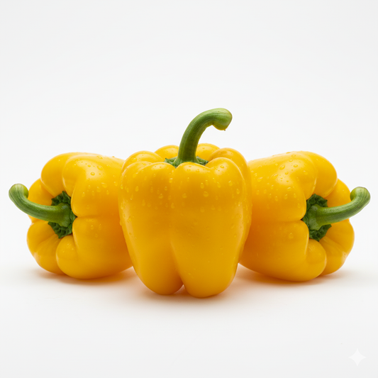 CAPSICUM YELLOW