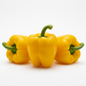 CAPSICUM YELLOW